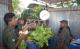 Sri Lankan Army Gets A Makeover - Goes Into Selling Vegetables